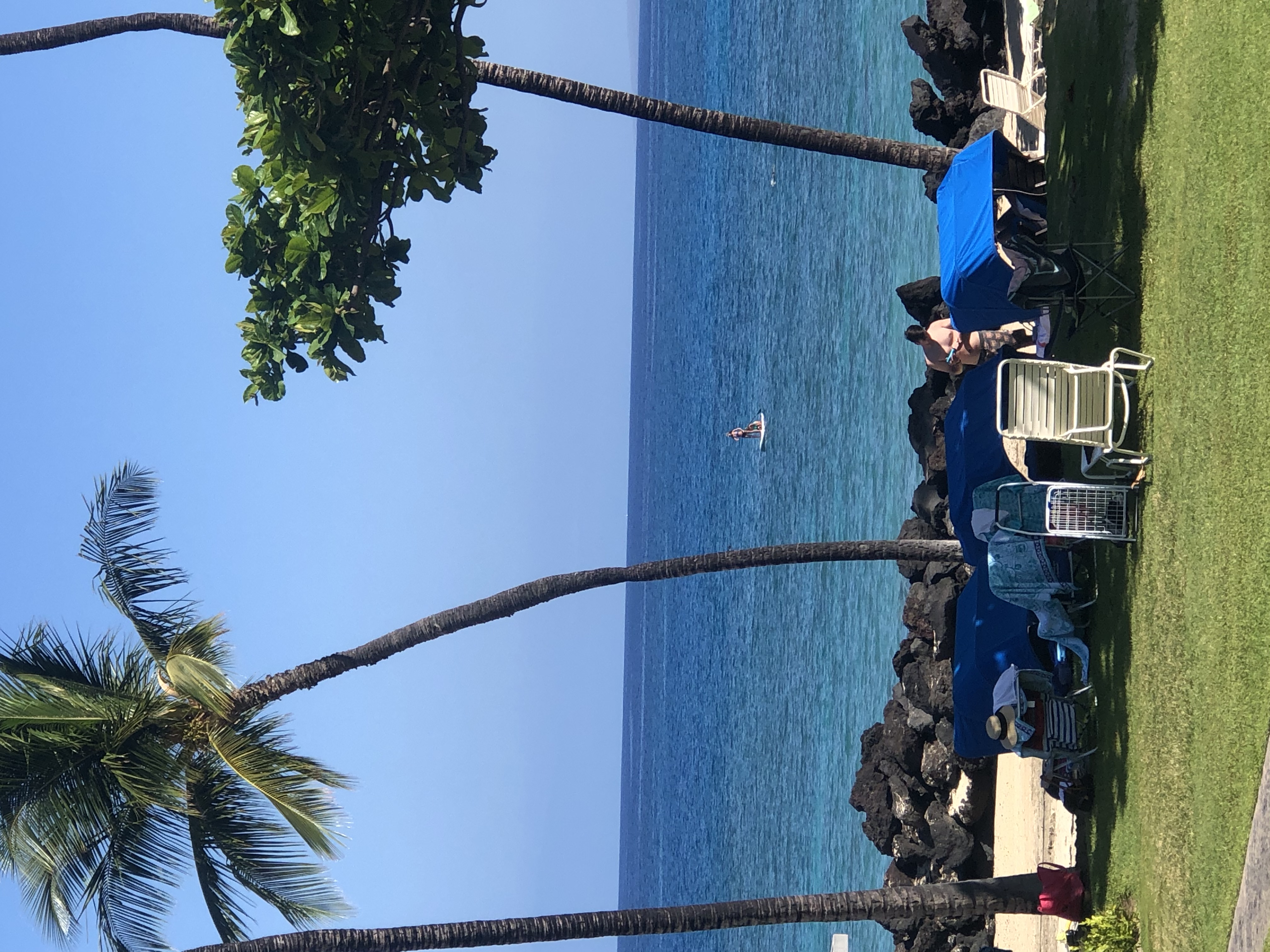 Waimea Market