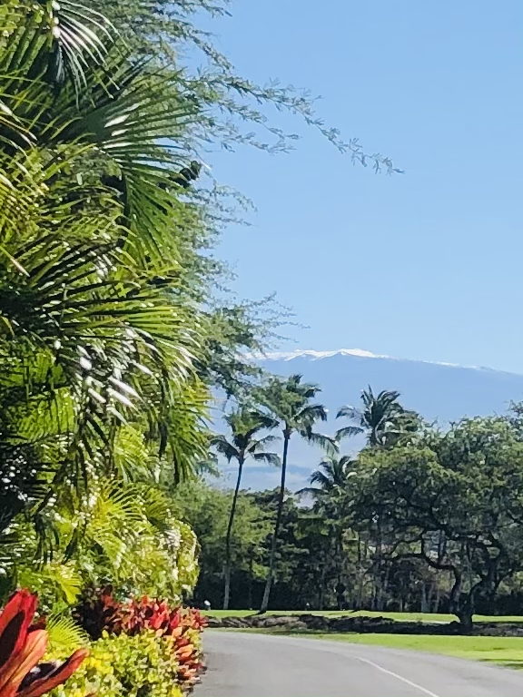 Mauna Lani Walk 1