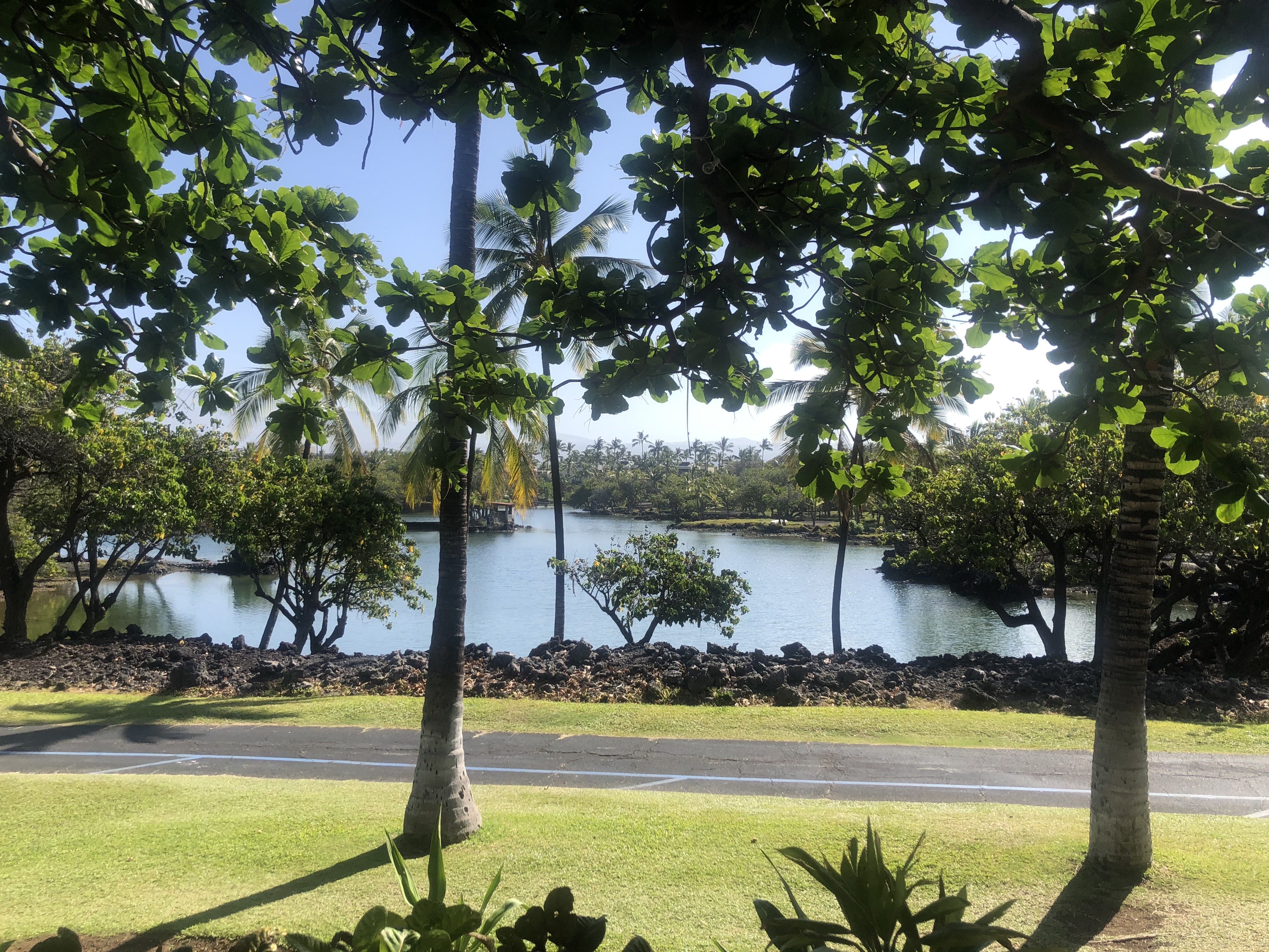 Mauna Lani Walk 3
