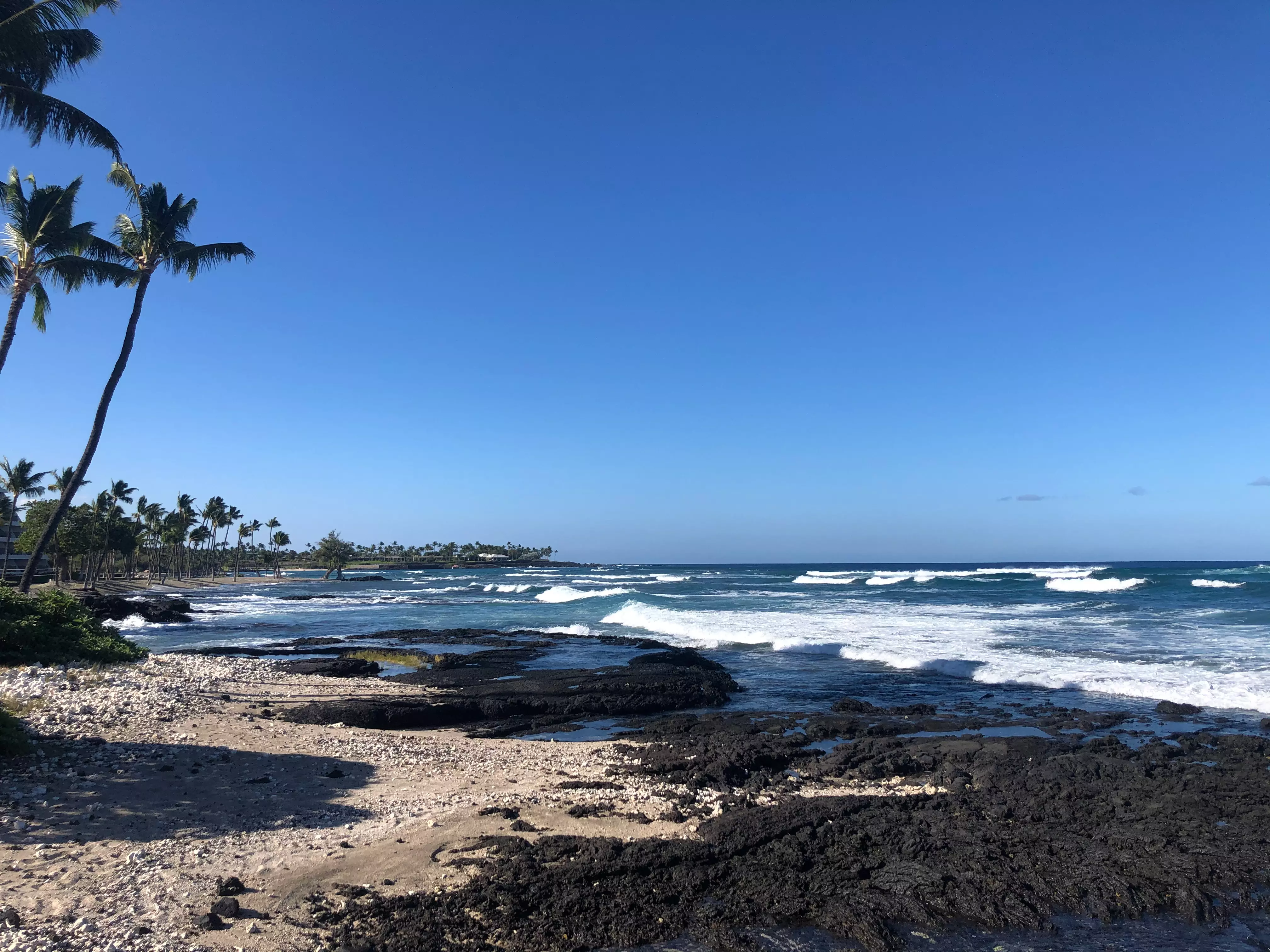 Hawaii Ocean